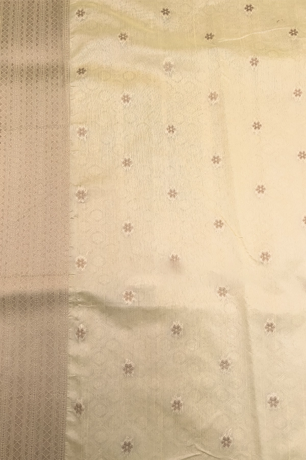 Semi Raw Silk