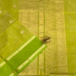 Kanchi Pure Silk Cotton in parrot green