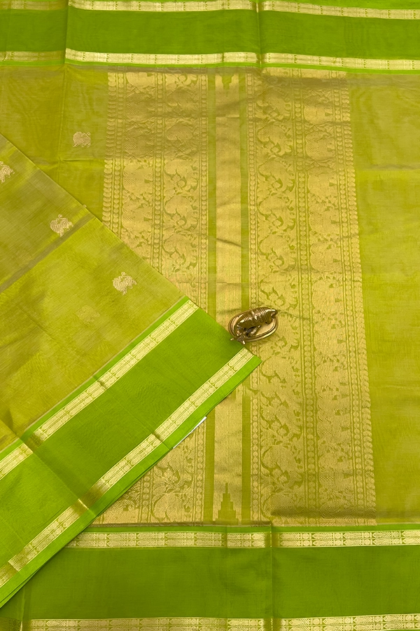 Kanchi Pure Silk Cotton in parrot green